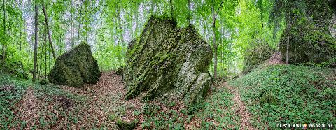 Gemeinde Garching Landkreis Altötting Wald Tuffstein am Schlossberg (Dirschl Johann) Deutschland AÖ